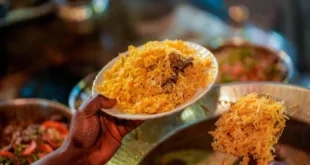 Kebabs biryani